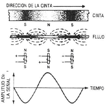 cinta.png (26220 bytes)