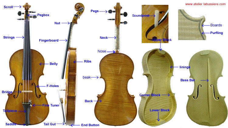 Acústica Musical: Instrumentos de cuerda --> Clasificación 