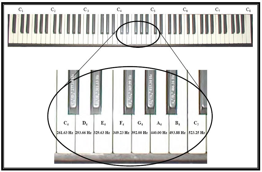 película Delgado reporte Acústica Musical: Las Escalas Musicales :::