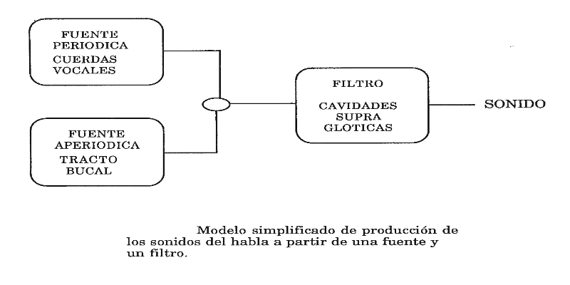 Modelo simplificado voz humana